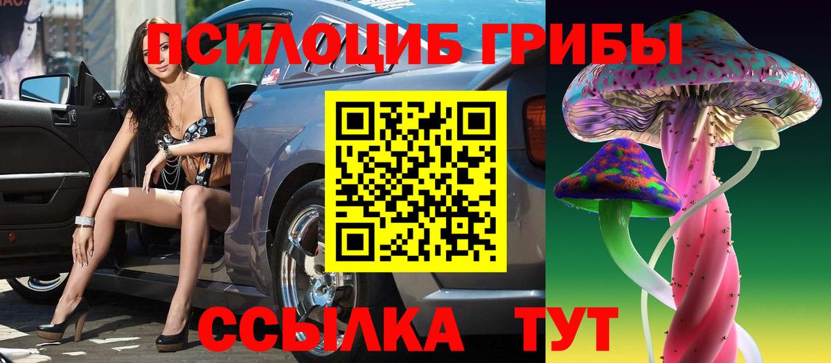 Рыбинск  Псилоцибиновые грибы Cubensis  Псилоцибиновые грибы мицелий  Вход с VPN 