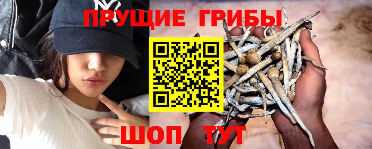 Галлюциногенные грибы Cubensis Рыбинск